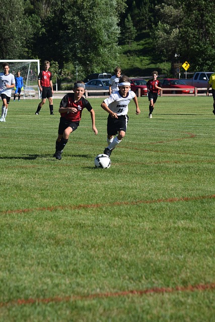 入中国篮球 入中国篮球