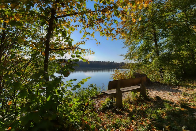 要解决的重 要解决的重