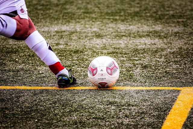 賽的透明度 賽的透明度