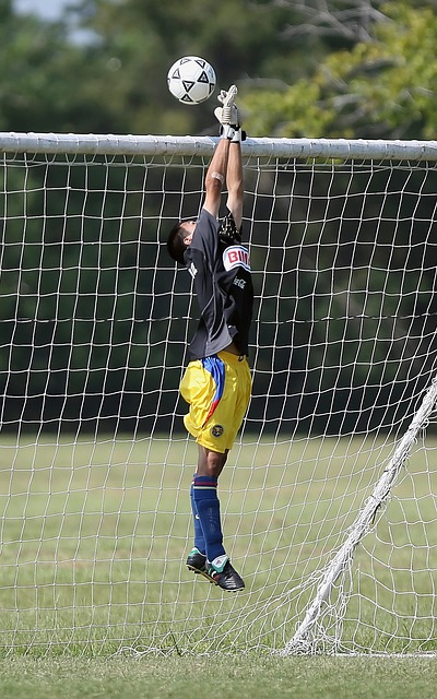 足球的世界 足球的世界