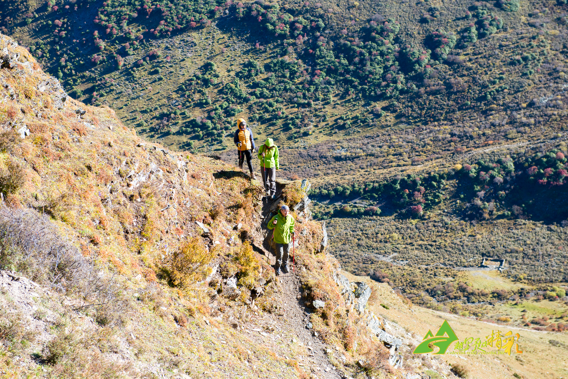 足总杯一向 足总杯一向